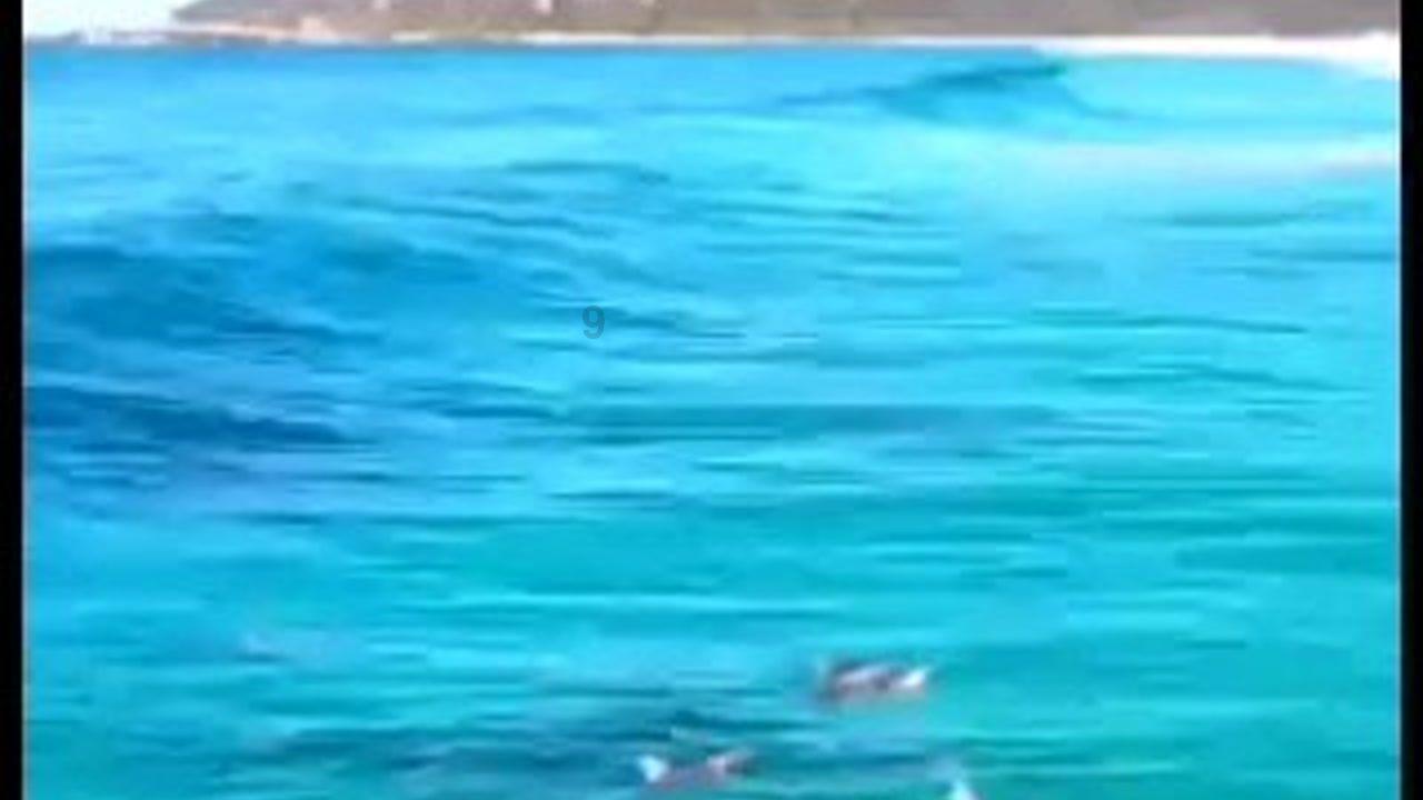 大爱无疆!骆驼蓄电池荣获首届湖北慈善奖